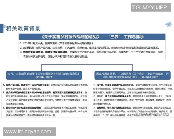 浙江经视聚焦地方经济发展助力乡村振兴新篇章