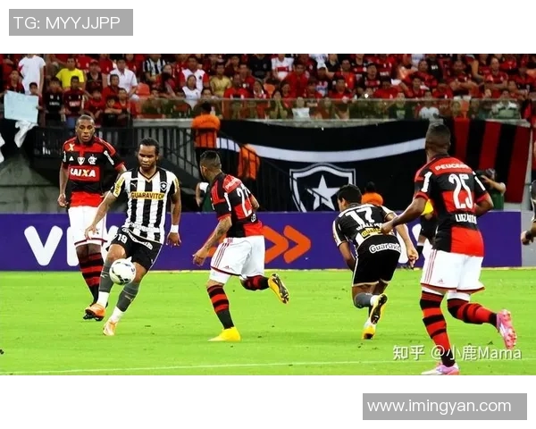 达伽马与弗拉门戈激战回顾2017年7月精彩瞬间与赛场分析