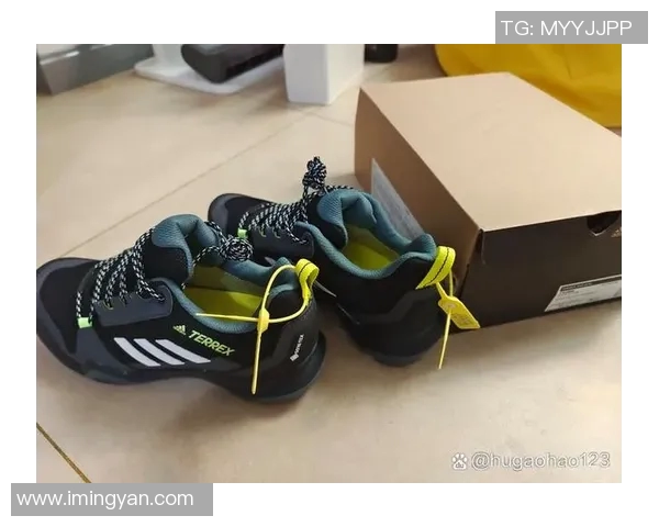 探索Baffin鞋的极致舒适与耐用性，适合各种户外冒险的理想选择