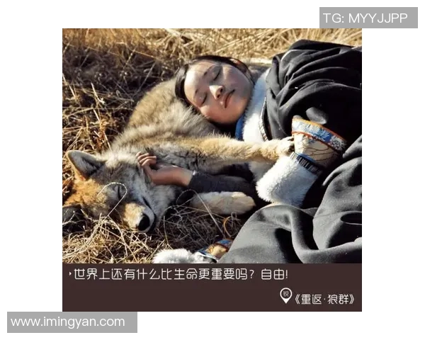 九指格林的传奇人生与音乐创作背后的故事揭秘