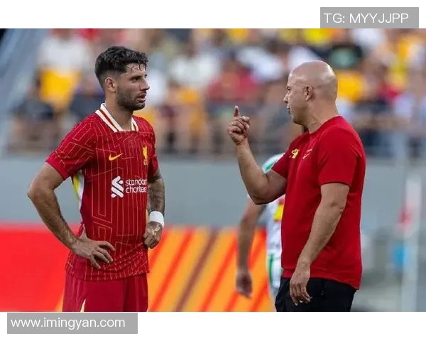 索博斯洛伊的历史与文化探秘：一座城市的灵魂与传承