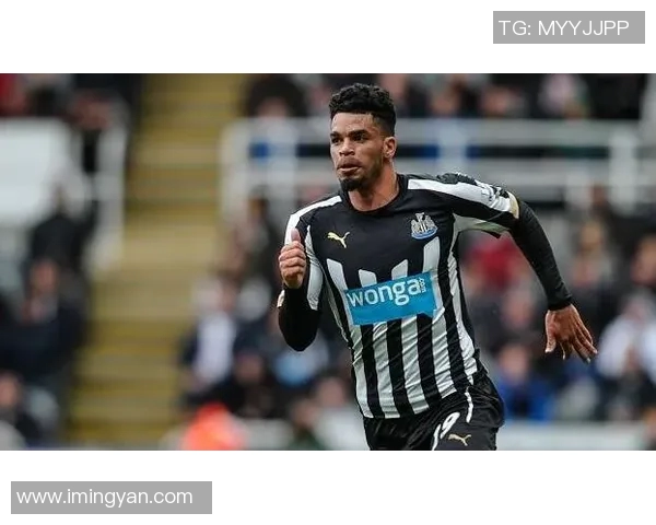 哈德斯与富勒姆对决前瞻分析及比赛结果预测