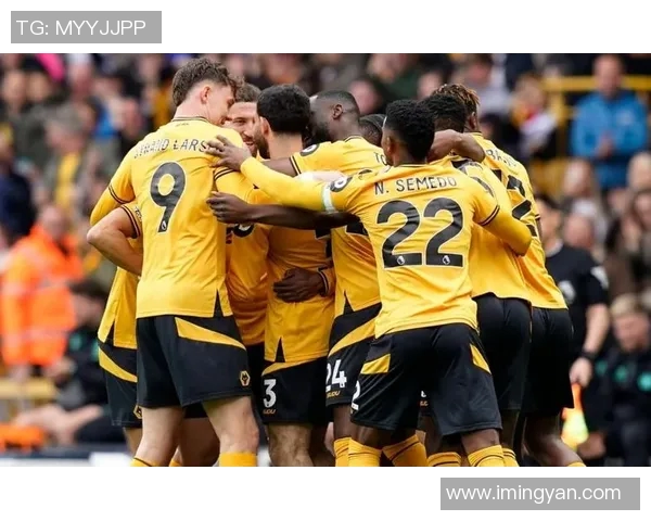 狼队与热刺激战正酣比分悬念迭起球迷热情高涨全场精彩瞬间回顾